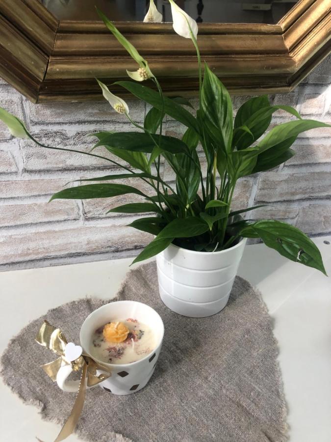 Casa Nonna Elide Apartment Besozzo Luaran gambar